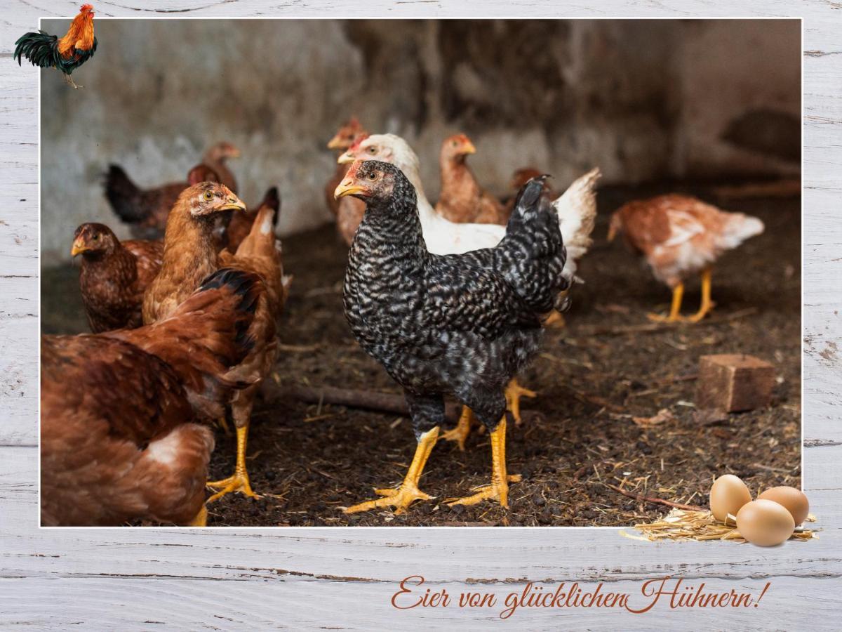 Fewo-Egger-Thalmann Virgen Esterno foto